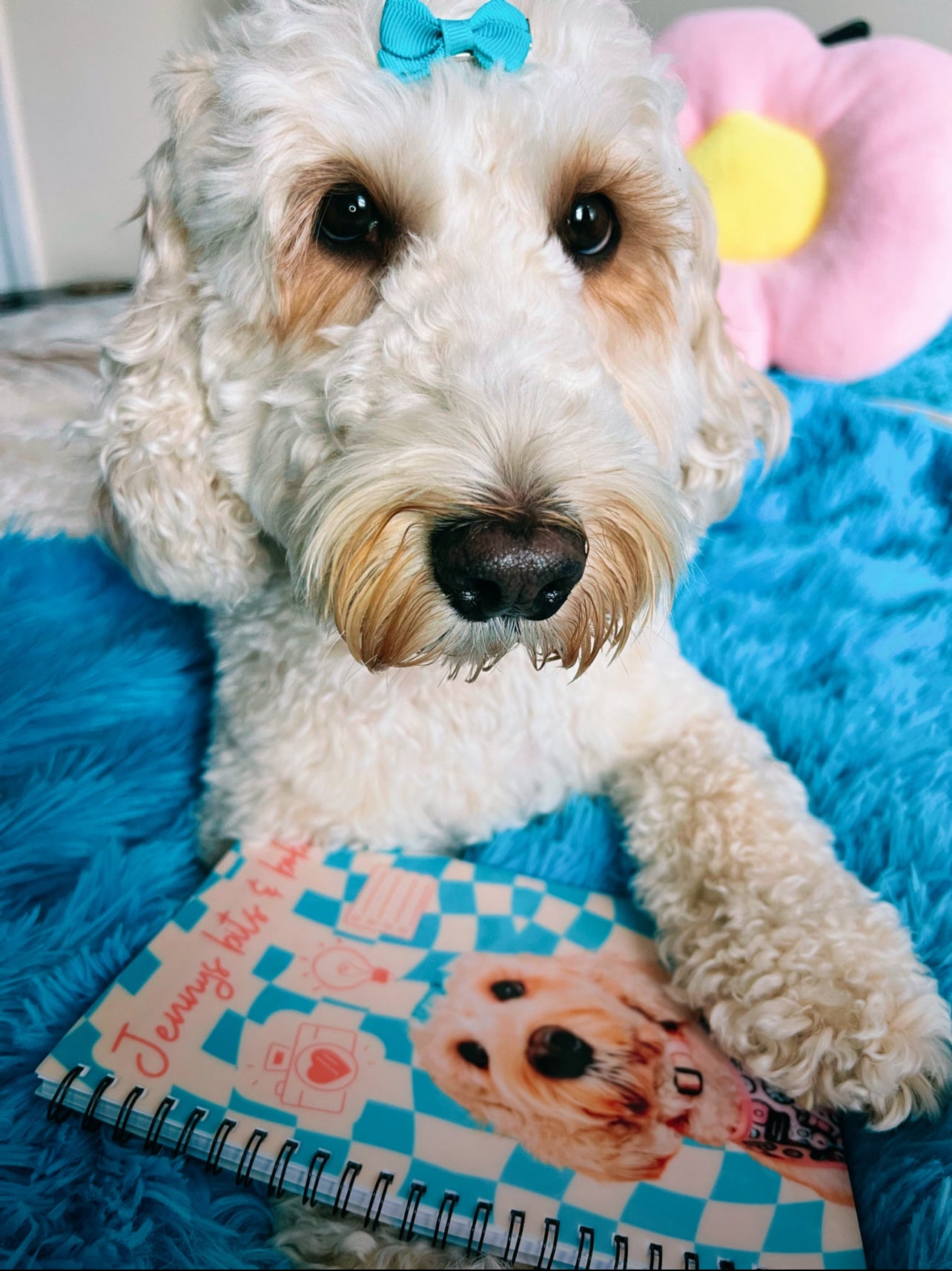 Personalised notebooks