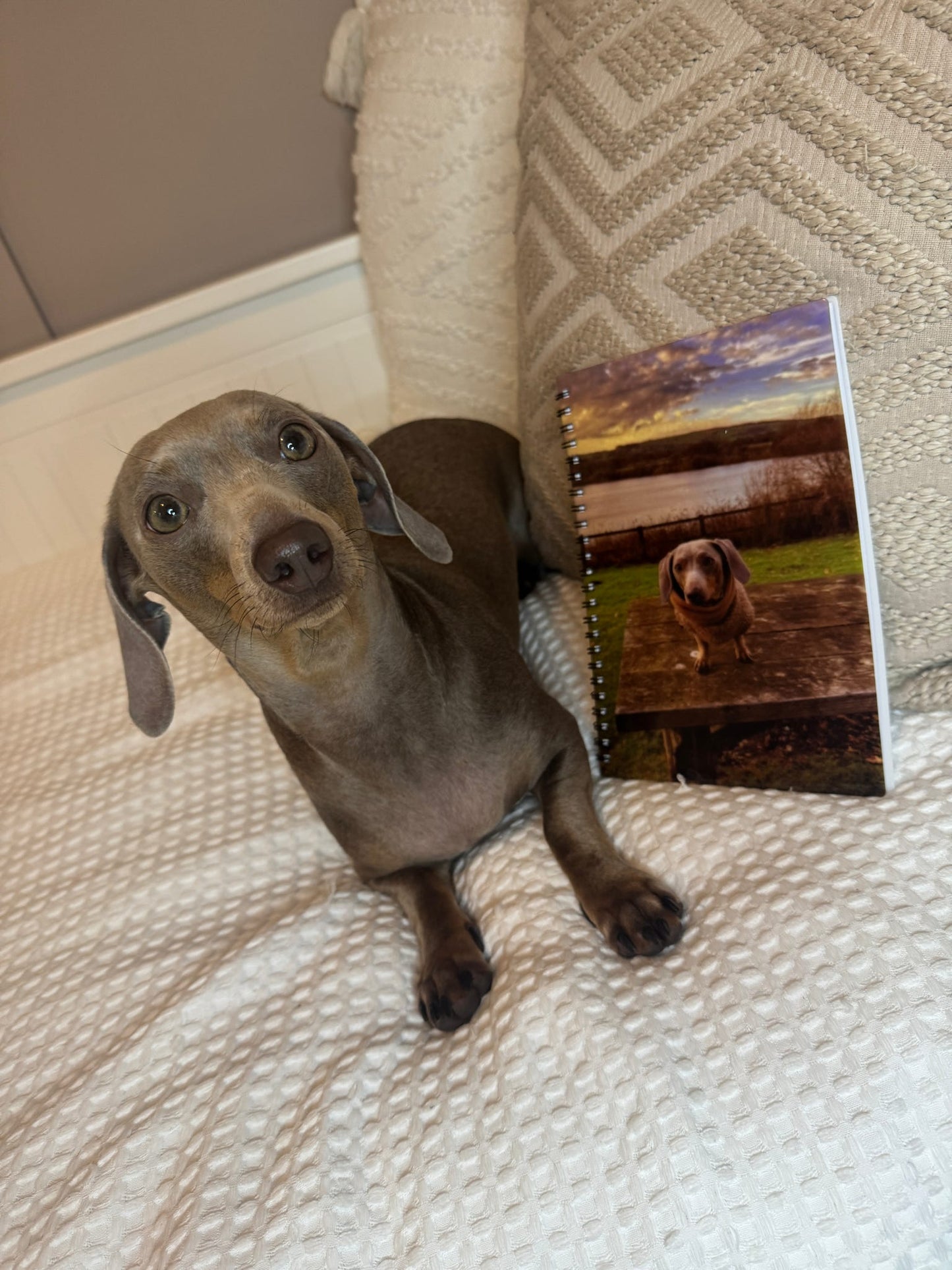 Personalised notebooks