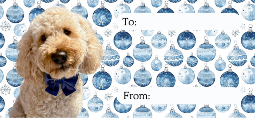 Personalised Christmas labels - Blue