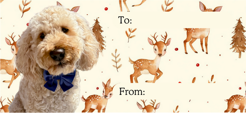 Personalised Christmas labels - Natural