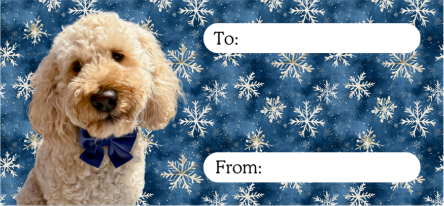 Personalised Christmas labels - Blue