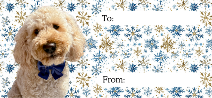 Personalised Christmas labels - Blue