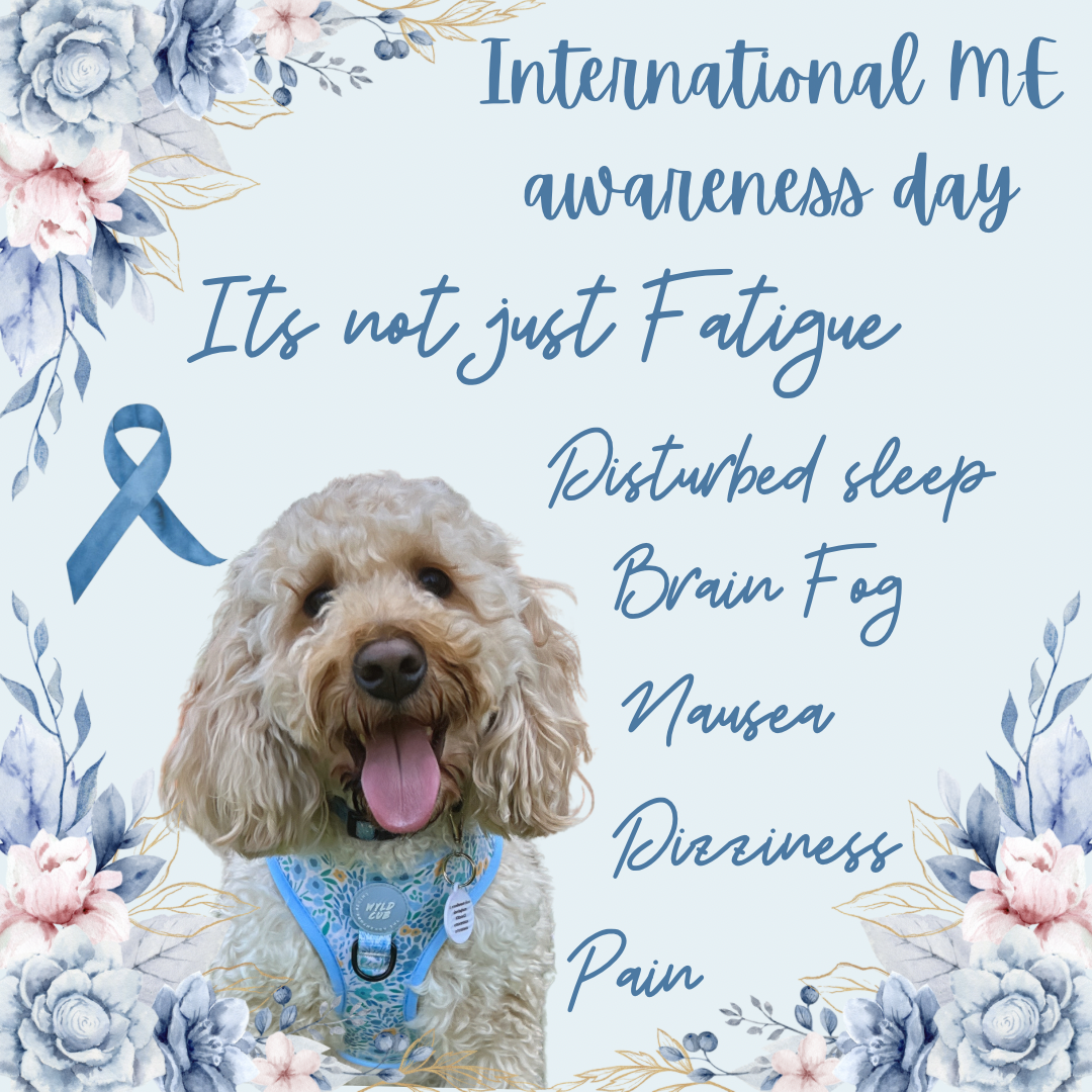 International ME awareness day edits