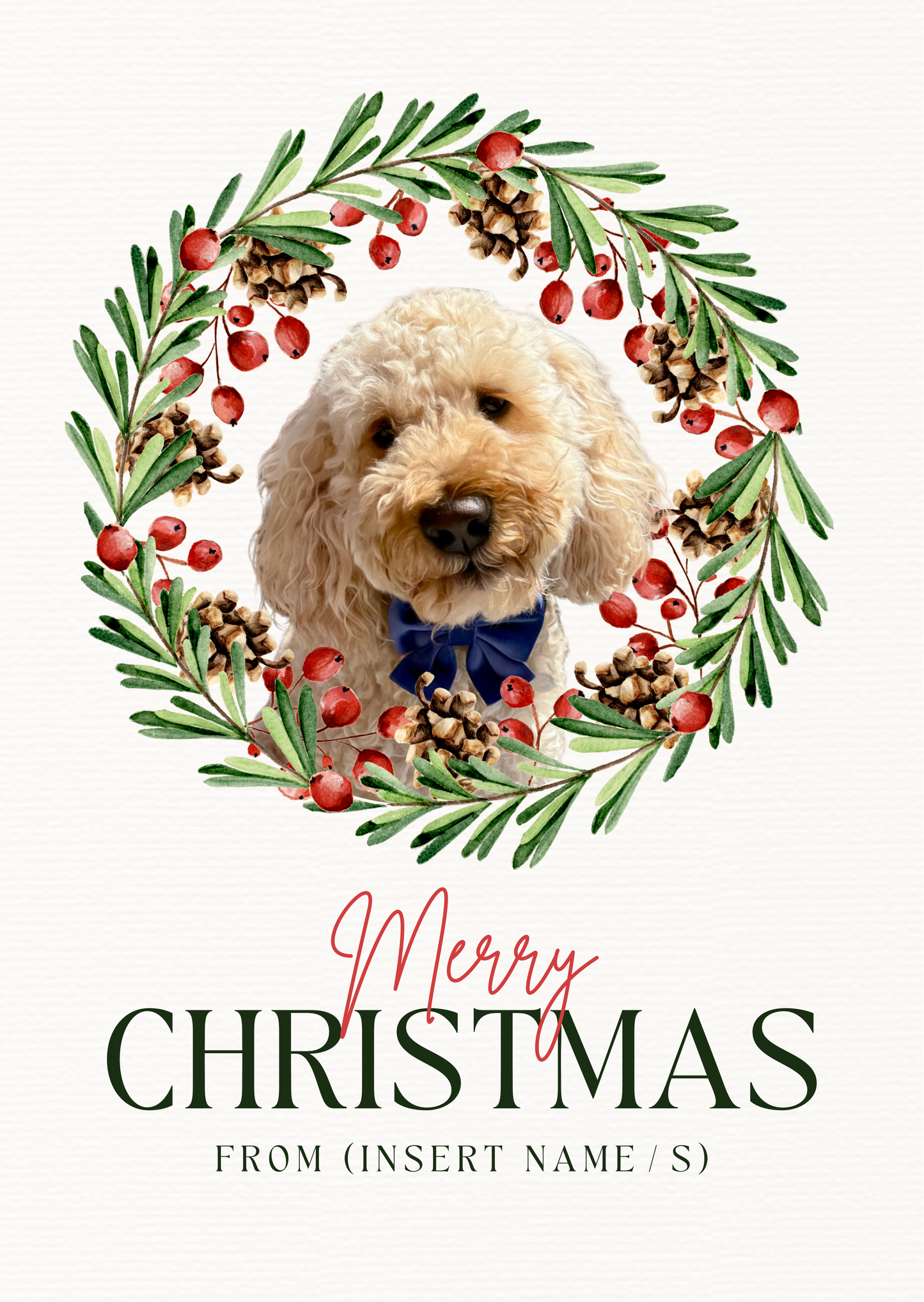 Digital Christmas cards
