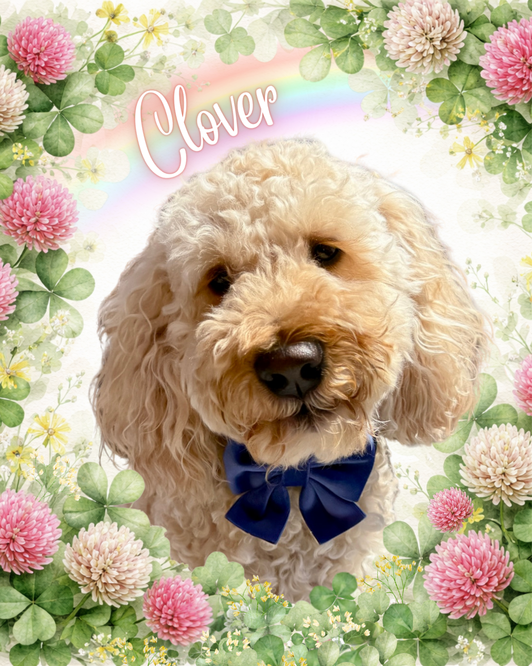 The clover edit