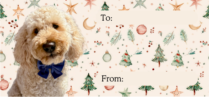 Personalised Christmas labels - Natural